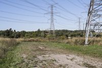 Ontario Landscape: Rural Road with Tree