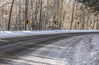 Ontario Landscape: Snow Covered Forest