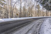 Ontario Landscape: Snow Covered Forest