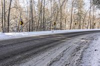 Ontario Landscape: Snow Covered Forest