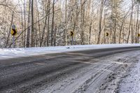 Ontario Landscape: Snow Covered Forest