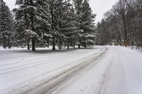 Ontario Landscape: Snowy Forest Road 001