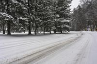 Ontario Landscape: Snowy Forest Road 002