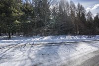 a snow - covered road in the woods next to tall trees on a sunny day