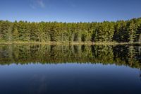 Ontario Landscape: Tree Branch and Cloud