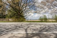 the street has many trees and some benches near it in an empty area with a few dirt roads