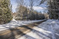 Ontario Landscape with Snow-Covered Trees