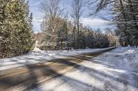 Ontario Landscape with Snow-Covered Trees