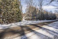 Ontario Landscape with Snow-Covered Trees