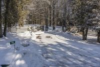 Ontario Nature Scene: Snow Covered Trees