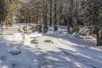 Ontario Nature Scene: Snow Covered Trees