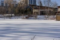 Ontario Residential Area: Winter Snow and Architecture