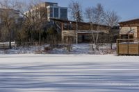 Ontario Residential Area: Winter Snow and Architecture