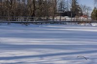 Ontario Residential Area: Winter Snow and Architecture