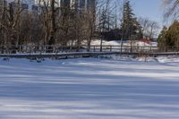 Ontario Residential Area: Winter Snow and Architecture