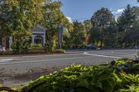 an intersection with many plants growing outside it and cars parked at the curb nearby, in front of a white building