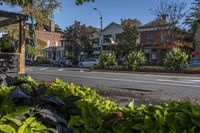Ontario Residential Neighborhood, Canada 001