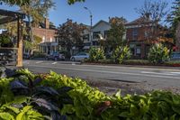 Ontario Residential Neighborhood, Canada 001