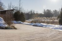 Ontario Residential Neighborhood: Winter Landscape