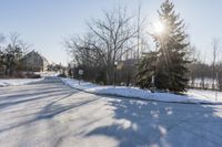 Ontario Residential Road on a Sunny Winter Day