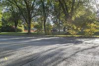 Ontario Residential Street: Autumn Tints and Shades