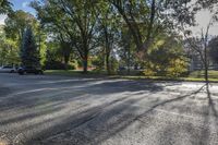 Ontario Residential Street: Autumn Tints and Shades