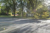 Ontario Residential Street: Autumn Tints and Shades