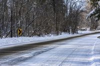 Ontario Road: Asphalt Through the Forest