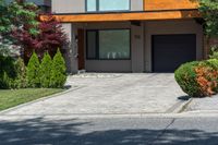 a dog is laying in the driveway of a house with bushes and trees outside of it