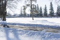 a snow bank on a cold winter day in the city park area with lots of trees