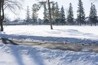 a snow bank on a cold winter day in the city park area with lots of trees