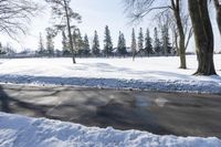 a snow bank on a cold winter day in the city park area with lots of trees