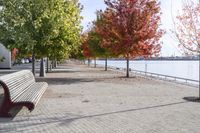 Ontario Road: Nature and Autumn Trees