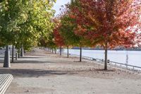 Ontario Road: Nature and Autumn Trees