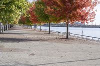 Ontario Road: Nature and Autumn Trees