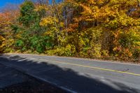 a yellow stop sign stands in front of autumn colors on the side of the road