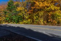 a yellow stop sign stands in front of autumn colors on the side of the road