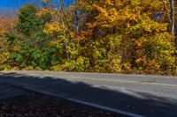 a yellow stop sign stands in front of autumn colors on the side of the road