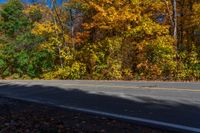 a yellow stop sign stands in front of autumn colors on the side of the road