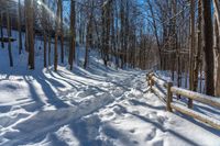 snow covered path with wooden fence on the side of a hill at winter time, with sun streaming through