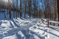 snow covered path with wooden fence on the side of a hill at winter time, with sun streaming through