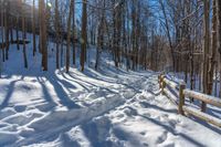 snow covered path with wooden fence on the side of a hill at winter time, with sun streaming through