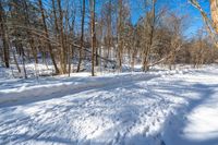 a path with snow all over it between tall trees and blue skies in the distance