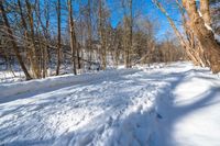 a path with snow all over it between tall trees and blue skies in the distance