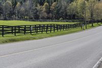 Ontario Rural Landscape: A Yellow Field Amongst the Green