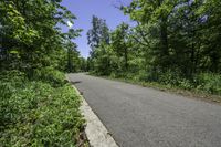 Scenic Road in Ontario, Canada