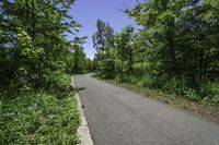 Scenic Road in Ontario, Canada