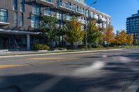 a empty city street next to an apartment building in fall season, with yellow painted markings