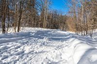 snow and trees are in the distance on a trail in the woods, near a path