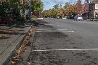 the white lines in the street are marked with paint on it to indicate how to park